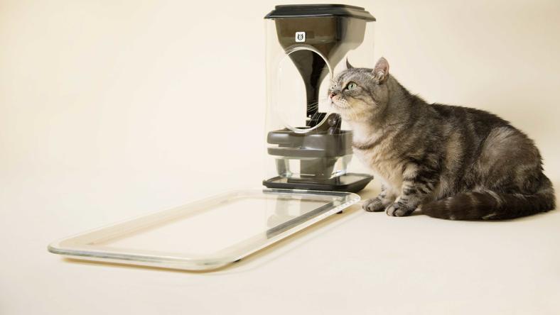 【用点】这才是真爱!来看看台湾猫奴设计的智能喂猫装置